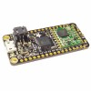 Adafruit Feather 32u4 RFM95 LoRa Radio - 900 MHz