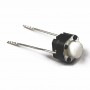 Push Button 2 Pin