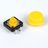 Push Button With Cap
