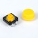 Push Button With Cap
