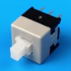 Telephone Switch