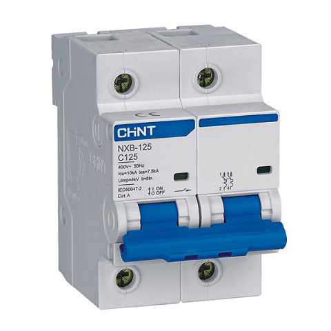 Chint Miniature Circuit Breaker NXB 125 C125 Amp 2 pole in Bangladesh